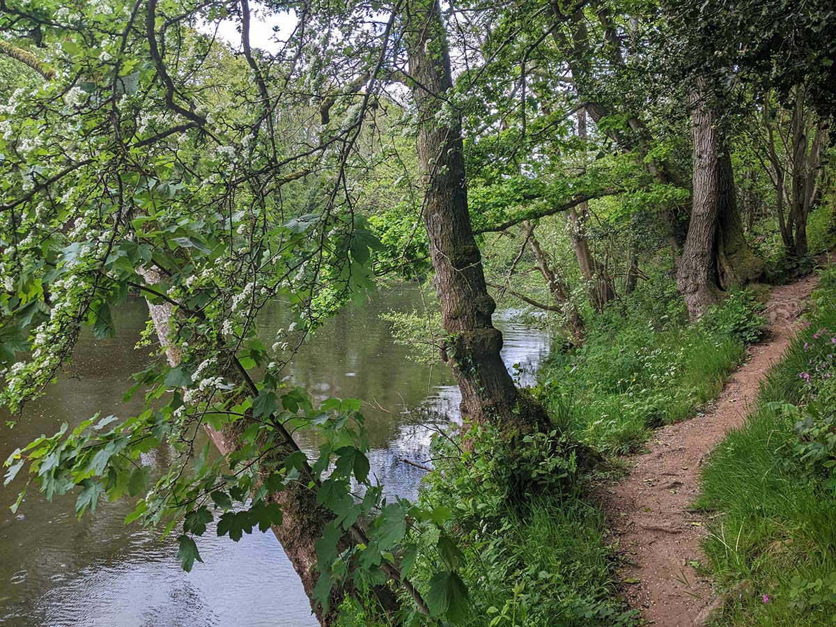 Path Image